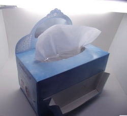 Rectangle tissue box with flap